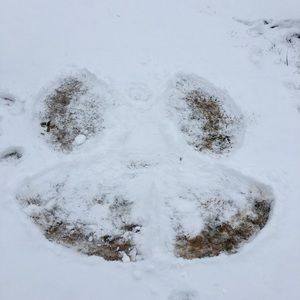 Meet your Posher, Lyn